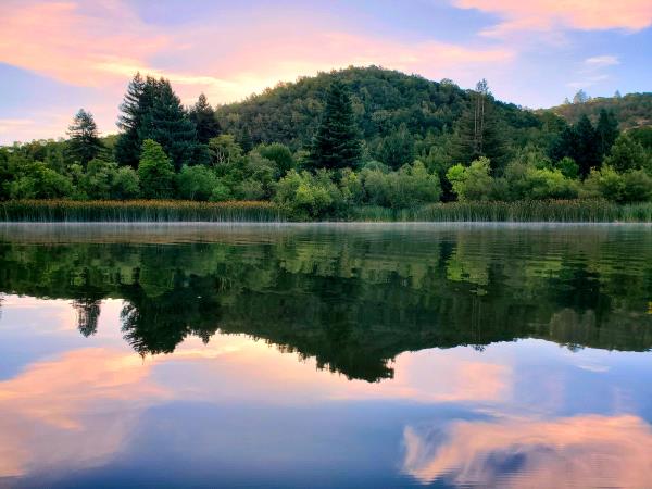 /Images/uploads/Sonoma County Regional Parks Foundation/springlake50/entries/28692thumb.jpg